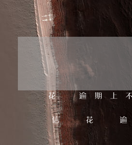 花唄逾期上不上征信報告(花唄逾期半年上征信嗎?花唄逾期有什么后果)