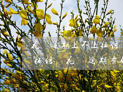 花唄逾期上不上征信記錄(支付寶花唄逾期上征信嗎?花唄逾期有什么后果)