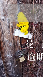 花唄逾期上征信嗎花唄逾期影響征信-花唄逾期上征信嗎花唄逾期影響征信嗎