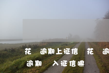 花唄逾期上征信嗎?花唄逾期影響征信嗎（花唄逾期納入征信嘛）