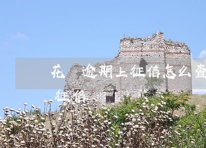 花唄逾期上征信怎么查看(怎么查花唄是否上征信)