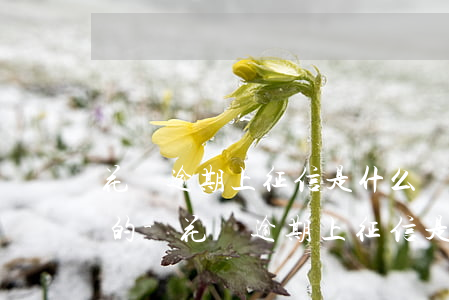 花唄逾期上征信是什么時(shí)候開始的-花唄逾期上征信是什么時(shí)候開始的呢