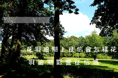 花唄逾期上征信會怎樣(花唄逾期上征信嗎?花唄逾期影響征信嗎)