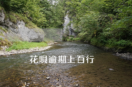 花唄逾期上百行