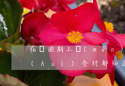 花唄逾期上門(mén)會(huì)不會(huì)全村都知道啊