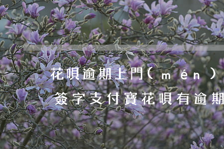 花唄逾期上門(mén)說(shuō)要簽字(支付寶花唄有逾期他們打電話說(shuō)上門(mén))