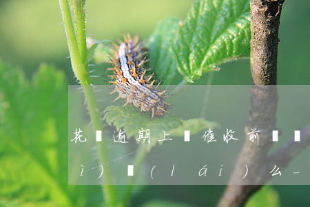 花唄逾期上門催收前還錢第二天還會(huì)來(lái)么?-花唄逾期說(shuō)要上門,但是我已經(jīng)還了還上門嗎
