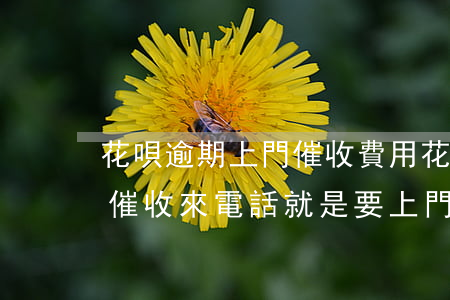 花唄逾期上門催收費用(花唄逾期800多天催收來電話就是要上門)