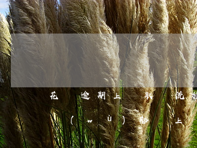 花唄逾期上門取證流程(花唄逾期真的會有法務(wù)部門上門核實嗎)