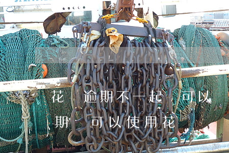 花唄逾期不一起還可以嗎(花唄還款后不算逾期還可以使用花唄嗎)