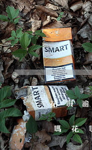 花唄逾期不上征信是嗎(花唄逾期半年上征信嗎?花唄逾期有什么后果)