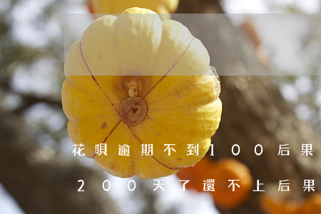花唄逾期不到100后果(花唄欠款五千逾期200天了,還不上后果)