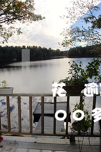 花唄逾期不到一年就說(shuō)逾期400多天