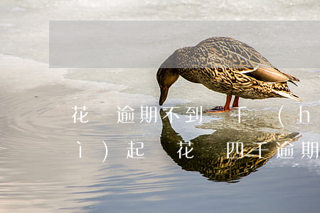 花唄逾期不到兩千會(huì)不會(huì)起訴(花唄四千逾期半年多 說要起訴現(xiàn)在還點(diǎn)可以不起訴嗎)