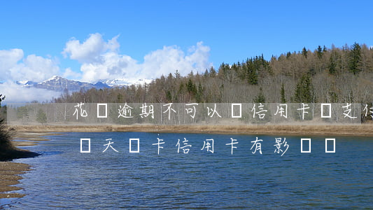 花唄逾期不可以辦信用卡嗎(支付寶花唄逾期兩天辦卡信用卡有影響嗎)