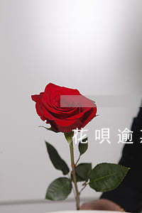 花唄逾期不可抗拒理由