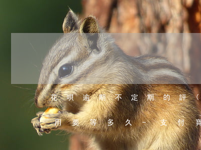 花唄逾期不定期的評(píng)估你的使用,要等多久-支付寶花唄逾期還款后不能使用需要評(píng)估多久