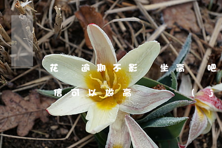 花唄逾期不影響坐高鐵吧(花唄逾期被鎖了征信可以做高鐵飛機(jī)嗎)