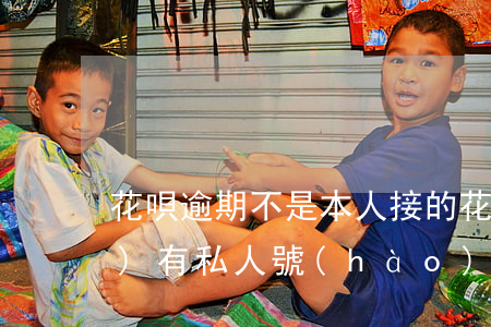 花唄逾期不是本人接的(花唄逾期會(huì)有私人號(hào)碼打電話給本人嗎)