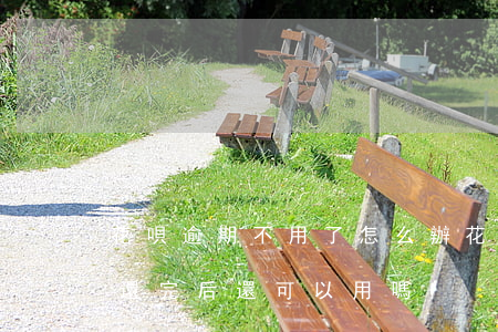 花唄逾期不用了怎么辦(花唄已經逾期停用后還完后還可以用嗎)