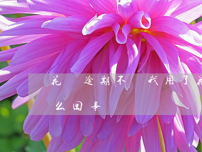 花唄逾期不給我用了(花唄逾期不給我用了怎么回事)