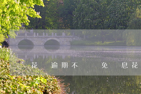 花唄逾期不給減免罰息(花唄可以減免部分罰金嗎?)