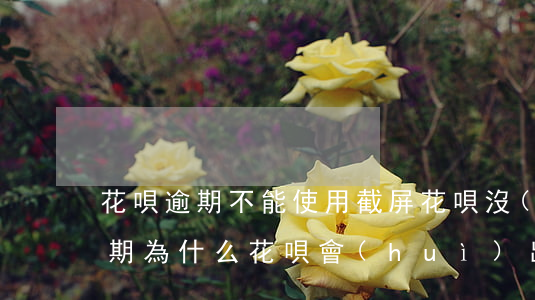 花唄逾期不能使用截屏(花唄沒(méi)逾期為什么花唄會(huì)出現(xiàn)無(wú)法使用)