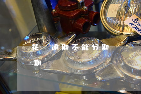 花唄逾期不能分期買車嗎(花唄沒還完可以分期買車嗎)