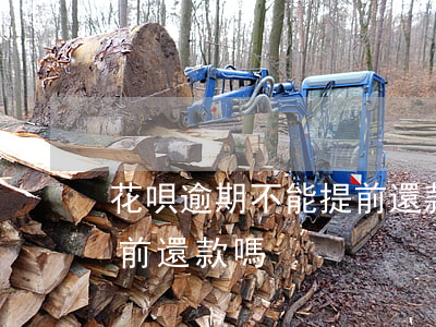 花唄逾期不能提前還款了(花唄延期后可以提前還款嗎)