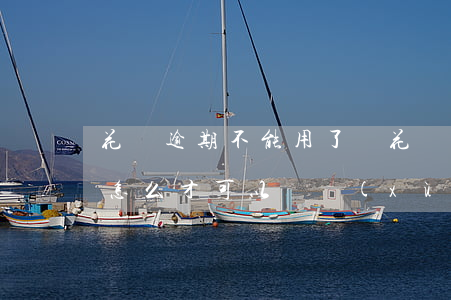花唄逾期不能用了圖(花唄逾期后不能使用要怎么才可以繼續(xù)使用)