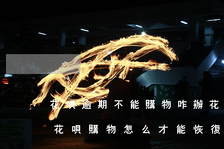 花唄逾期不能購物咋辦(花唄逾期了無法使用花唄購物怎么才能恢復)