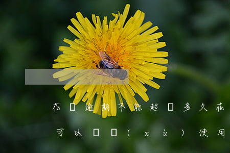 花唄逾期不能超過多久(花唄逾期半年多久才可以繼續(xù)使用花唄)