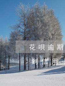 花唄逾期不能辦理什么(如果花唄逾期就辦不到信用卡)