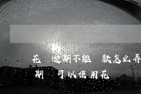 花唄逾期不能還款怎么弄(花唄還款后不算逾期還可以使用花唄嗎)
