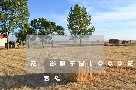 花唄逾期不足1000(花唄欠2000逾期會怎么樣)