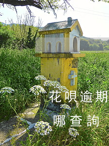 花唄逾期不逾期在哪查詢(花唄逾期不逾期在哪查詢)