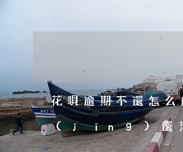 花唄逾期不還怎么處理(花唄逾期用不了,已經(jīng)還清還是用不了,怎么恢復(fù))
