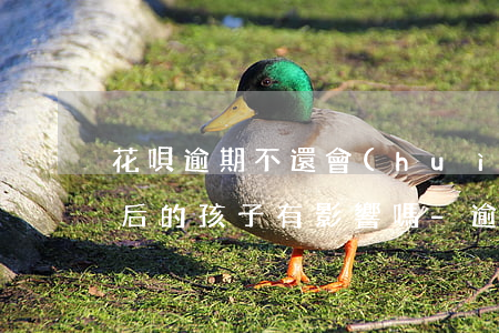 花唄逾期不還會(huì)對(duì)以后的孩子有影響嗎-逾期多久會(huì)被列入失信人名單
