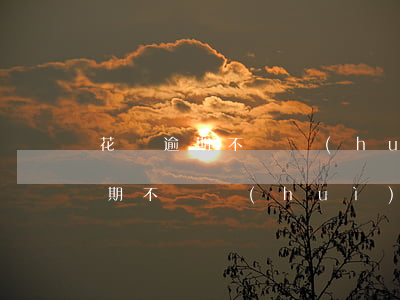 花唄逾期不還會(huì)怎么樣的(花唄逾期不還會(huì)不會(huì)影響辦別的任何事情)
