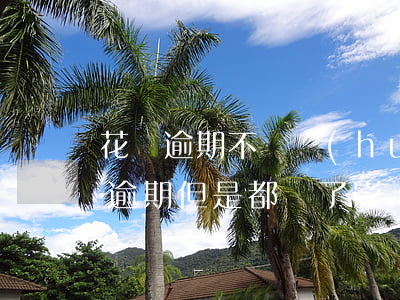 花唄逾期不還會(huì)有事嗎(花唄有過逾期,但是都還了,影響貸款嗎)