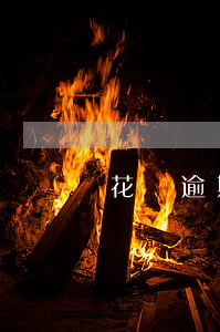 花唄逾期不還會有利息嗎