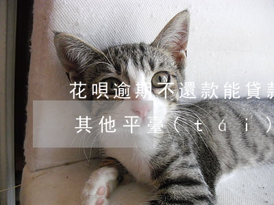 花唄逾期不還款能貸款了(是不是花唄逾期了其他平臺(tái)也貸不了款)