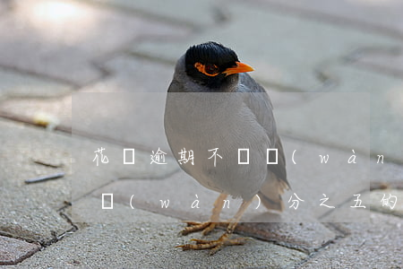 花唄逾期不還萬(wàn)分之五(花唄逾期萬(wàn)分之五的利息是多少)