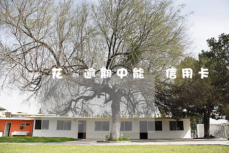 花唄逾期中能辦信用卡嗎