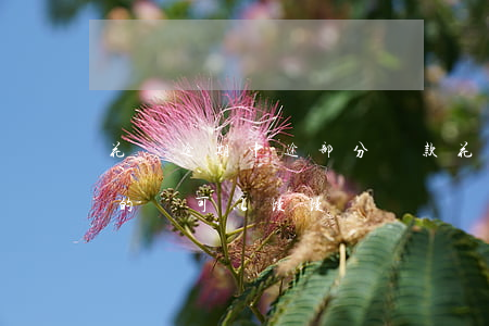 花唄逾期中途部分還款(花唄逾期后還了后面的還可以慢慢還嗎)