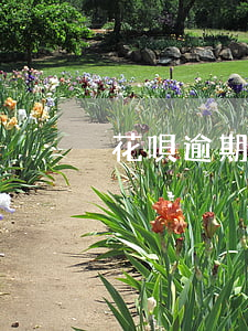 花唄逾期中還能借錢嗎(借唄逾期了還能借錢?)