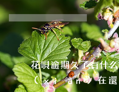 花唄逾期久了有什么影響(花唄逾期了幾天,現(xiàn)在還了,會影響貸款嗎)