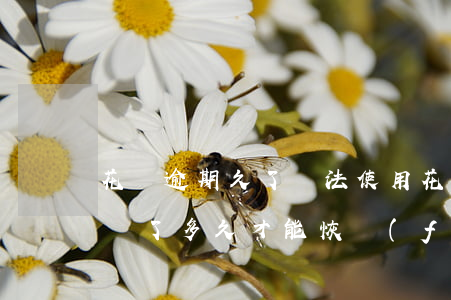 花唄逾期久了無法使用(花唄逾期了不能用花唄了多久才能恢復(fù)使用)