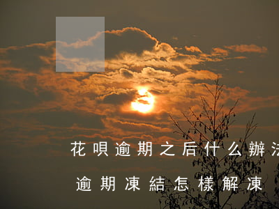 花唄逾期之后什么辦法能快速解凍花唄（花唄逾期凍結怎樣解凍）
