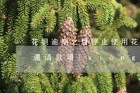 花唄逾期之后停止使用 花唄逾期停止使用后還清款項(xiàng)能恢復(fù)額度嘛